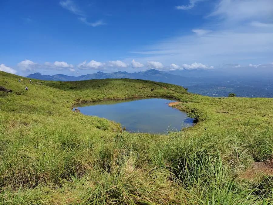Bengaluru to Wayanad Self-Drive Road Trip Guide