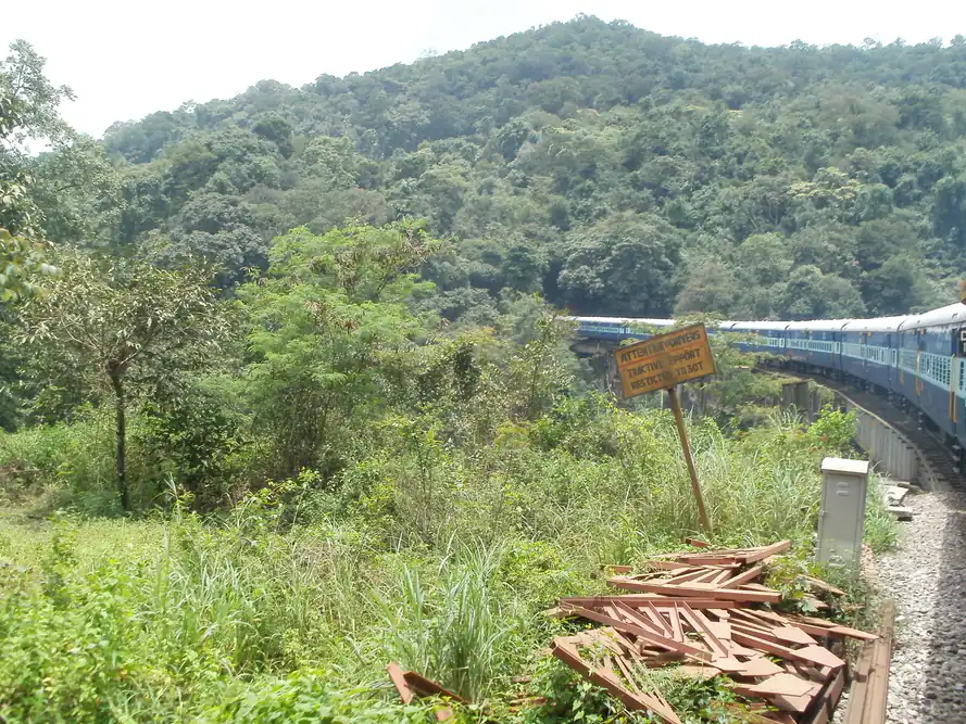 Sakleshpur's Ghat Roads: What They Actually Demand From a Car