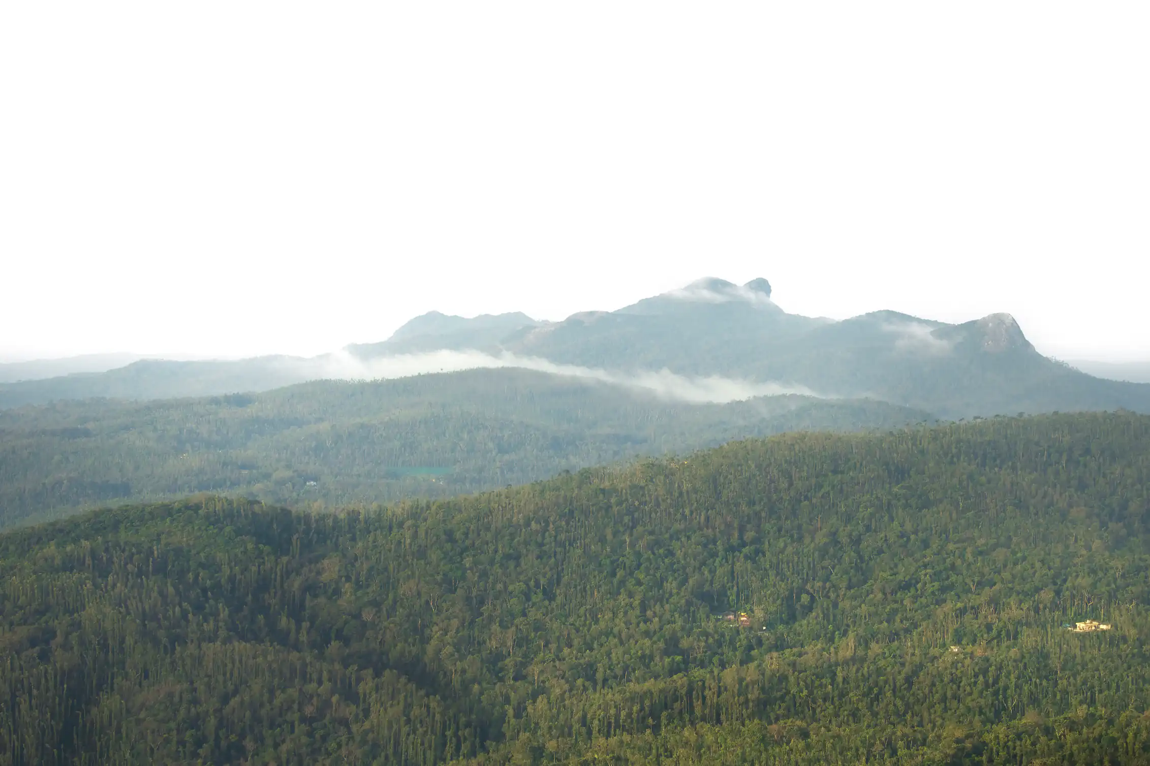 Chikmagalur: A Coffee-Estate Weekend From Bengaluru